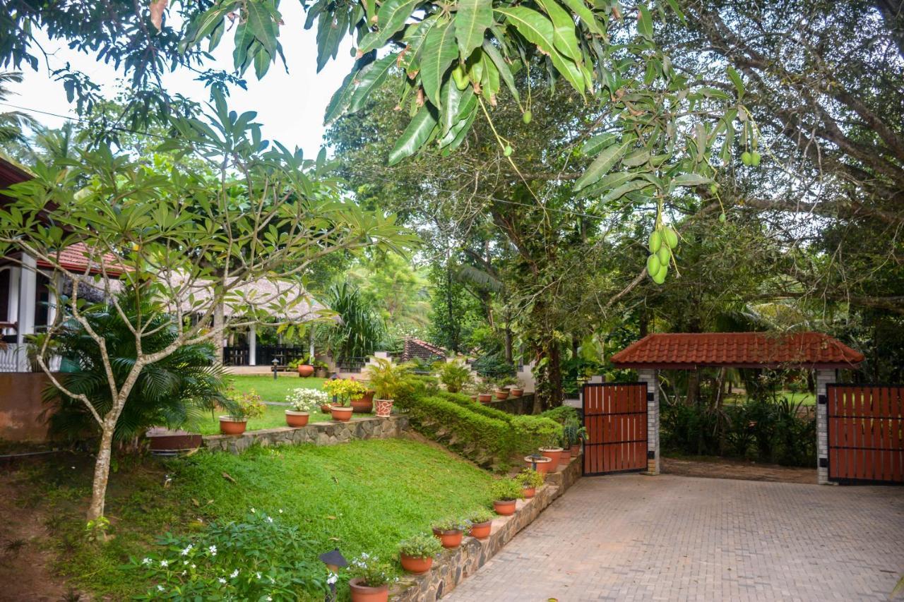 Goyambokka Guesthouse Tangalle Exterior photo